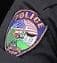 Elburn Police Department Badge