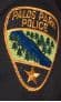 Palos Park Police Department Badge