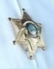 Wabash County Sheriffs Office Badge