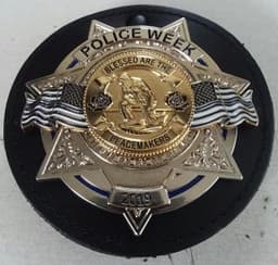 Wadena Police Department Badge