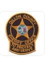Dillon County Sheriffs Office Badge