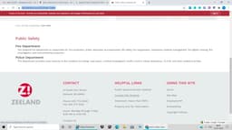 Zeeland Police Department Badge