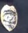 Jacksonville Police Department Badge