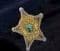 Washington County Sheriffs Office Badge